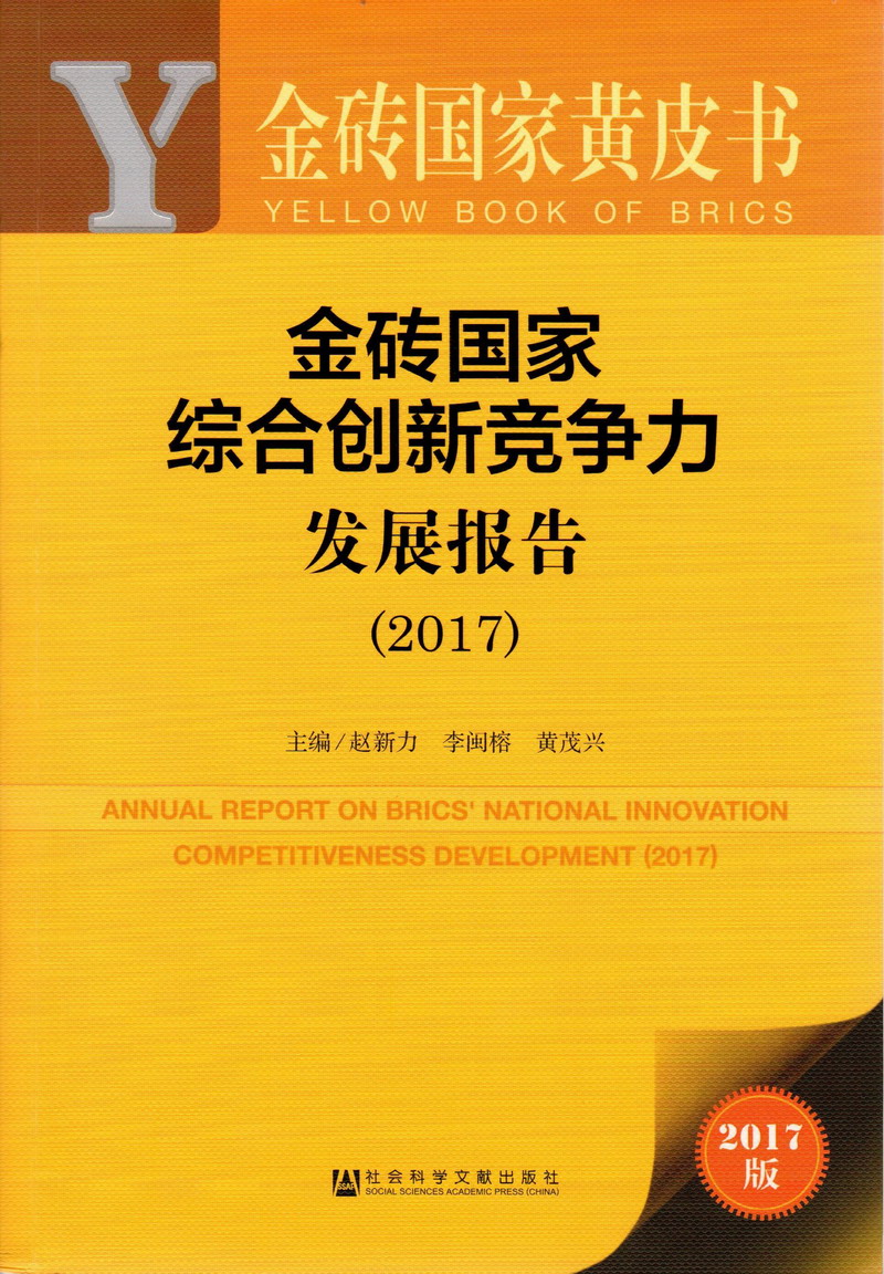 肏屄视频在线观看福利金砖国家综合创新竞争力发展报告（2017）